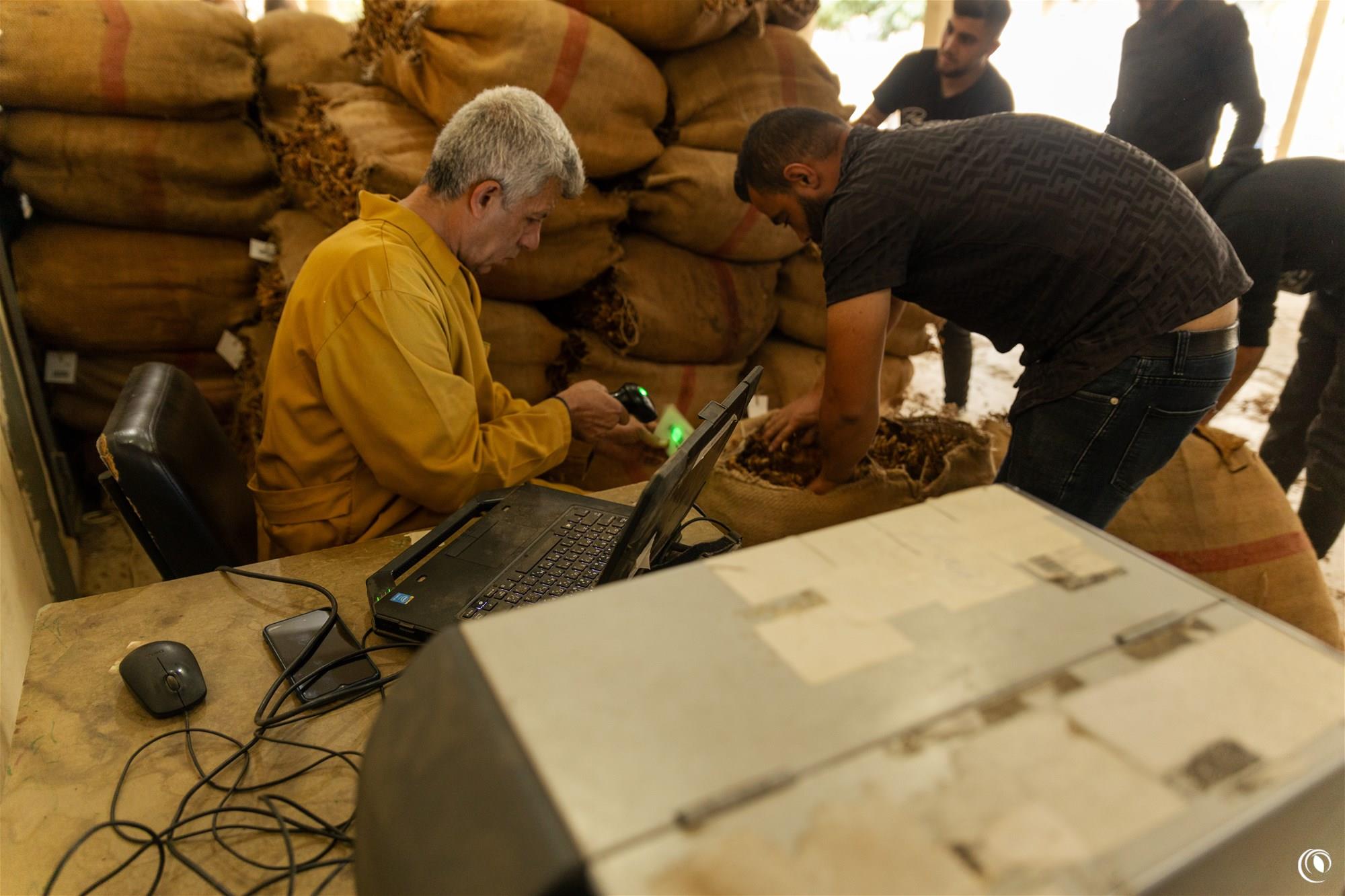 Akkar Tobacco Crops Receipt is Set to Begin Starting October 3  The Lebanese Regie for Tobacco has announced that its purchasing committees will be receiving the tobacco and tumbac crops of the Akkar region starting October 3rd and that the logistic preparations are underway.      