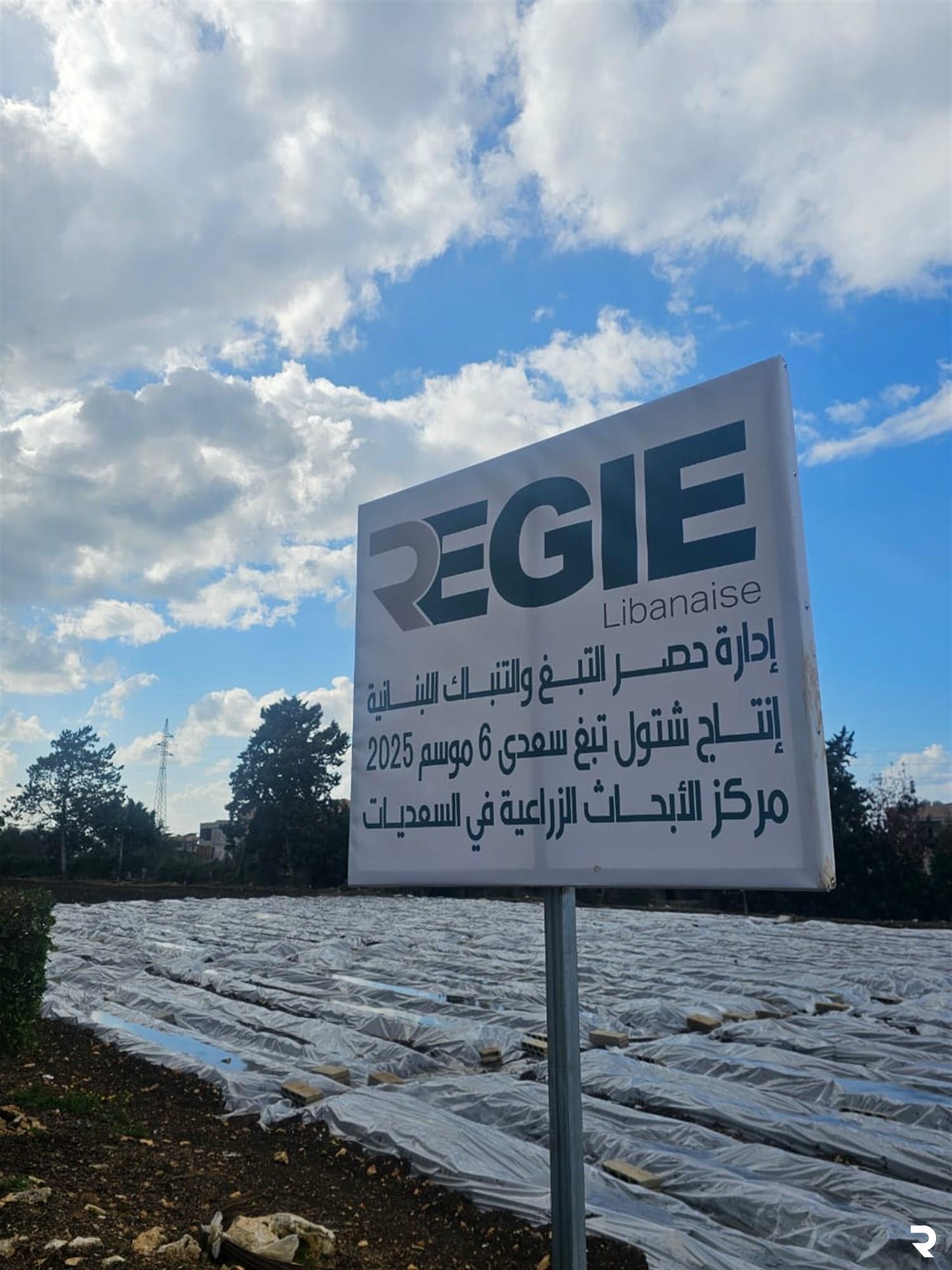 Regie distributes seedlings to southern Lebanon farmers, prioritizing frontline villages 