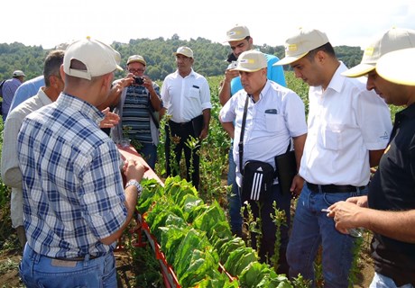 Agricultural Guidance Courses